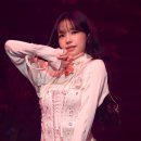 율 이미지
