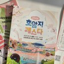 호암체육관 | 2025 호암지페스타 후기
