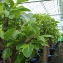 영신농원 이미지