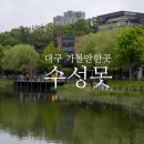 큰골조경 | 대구 여행 코스 수성못 주변 가볼만한곳(주차 및 카페)