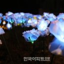 양평 산나물 두메향기 별빛축제 이미지