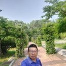 옹기골근린공원 Daum카페