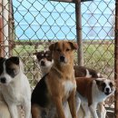 미란농장 이미지