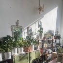 향기빌딩(마천로106) | 효자동 꽃집 꽃집아가씨 부모님께 드린 꽃다발 선물 후기