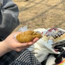 태양세탁소 | 3월 일상후기