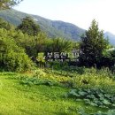 신기서길 이미지