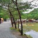 금광관광농원 이미지