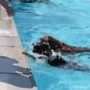 평리3동행정복지센터 이미지