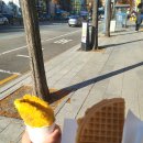 노원역 중계역 그 사이 호떡맛집 발견!!! 뿌링클호떡이라니!!!