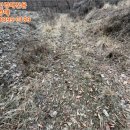 남종면행정복지센터 이미지