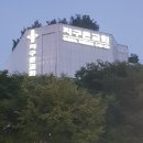 일가무교동낙지 이미지