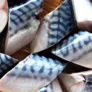 머슬프로짐 이미지