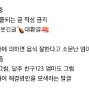 엄마들 떡볶이는 왤케 노맛인지 말해보는 달글 이미지