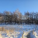 해안로1-L 이미지