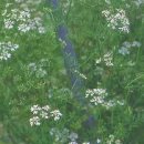 고수2로 이미지