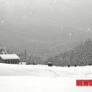 사진예술 이미지