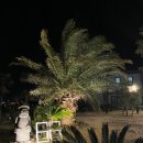 제주다모르 이미지