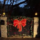 프라이빗핑크트리 | 부산 사하구 크리스마스카페 추천 "만디" :: 애견동반, 노키즈존 카페 (내돈내산)