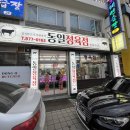 동일생고기 이미지