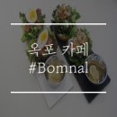 봄날BOMNAL 이미지