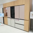 모 핏 (MO Fit) | 라이프스타일에 맞춘 LG 디오스 오브제 컬렉션 Fit&amp;Max 냉장고, 김치냉장고 조합 추천