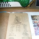 흥생한의원 Daum카페