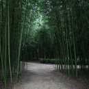 대운산자연휴양림 이미지