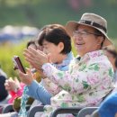 천만송이 장미 '활짝'...서울장미축제 '팡파르' 이미지