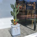 안경캐슬 이미지