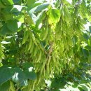 한우물농장 이미지