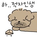 톤즈의원 이미지