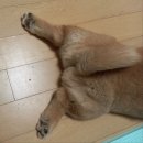 모코의집