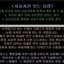 넬라스 Daum카페