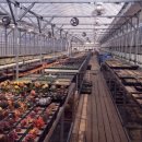 가랑농장 이미지