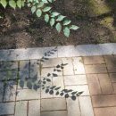 한거할머니경로당 이미지