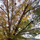 사정경로당 이미지