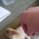 억조농장 이미지