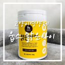 촌놈애견샵 네이버블로그
