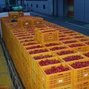 영양고추유통센터 이미지