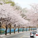 주교동 (원당지하차도) 이미지
