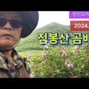 점봉산 곰배령 식물탐사 2024.6.1.‪ 이미지