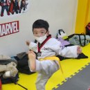 경이로운 태권도 이미지