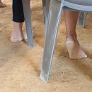 전남 무안군 청계면 맨발축제장 이미지