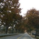 보은군 생활자원순환센터 이미지