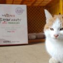 대미광고 이미지