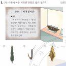 39회 한국사능력검정시험 중급 1번 : 청동기 시대의 유물 이미지