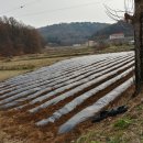 신송농장 이미지