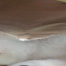 용산-현장-10 이미지