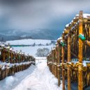 해창목장 이미지