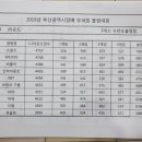 뉴반도